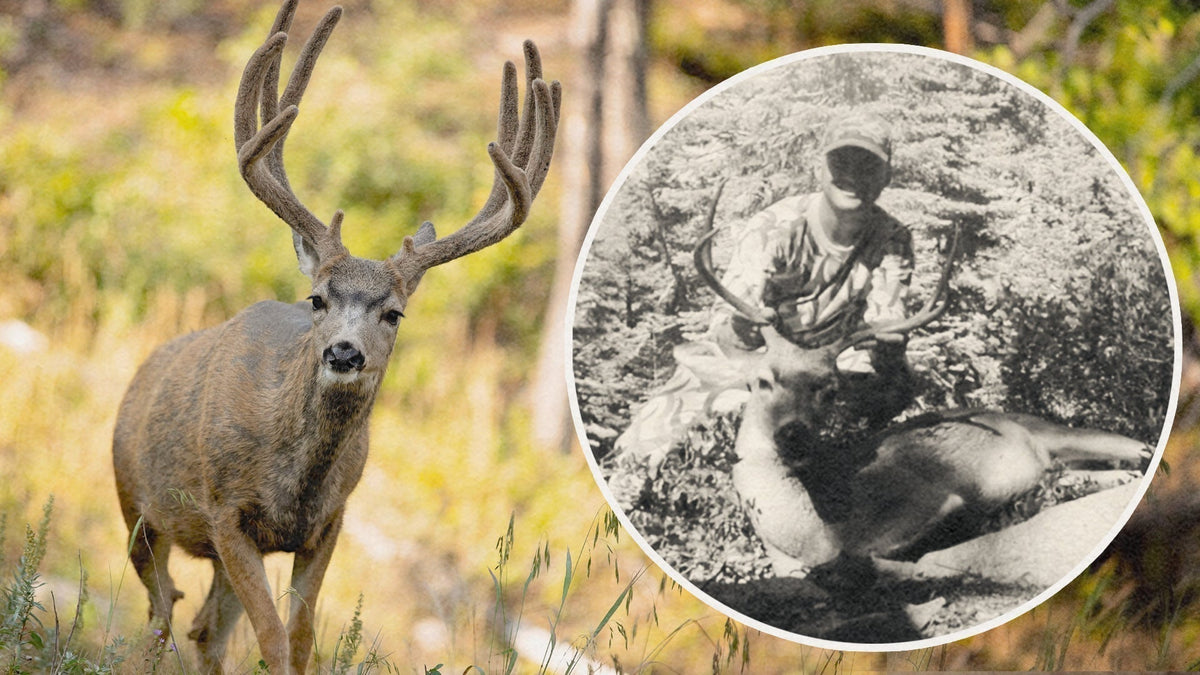 The biggest mule deer mistake is not what most hunters think.