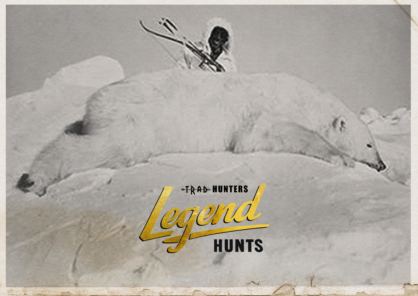 Fred Bear and the Polar Bear He Came Back For Three Times